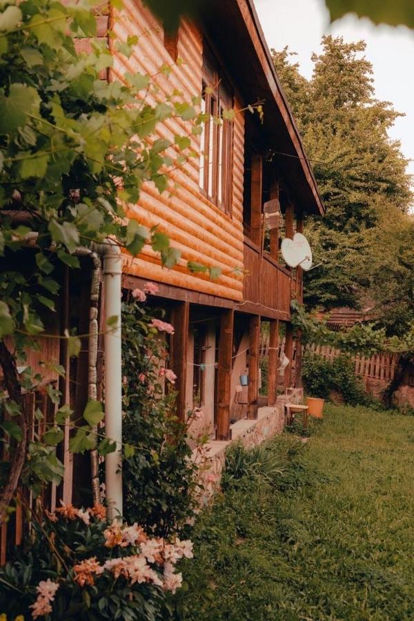 Teo Guesthouse And Camping In Μέστια Εξωτερικό φωτογραφία