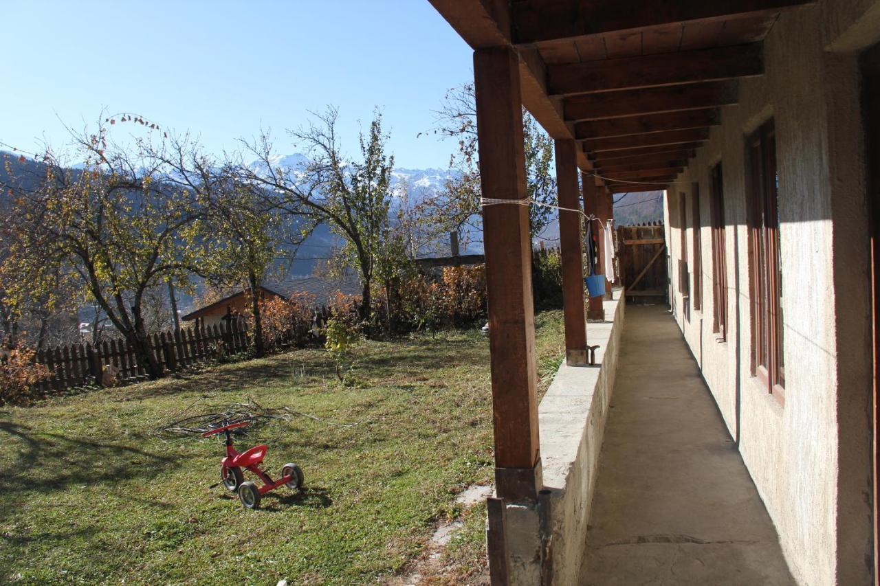 Teo Guesthouse And Camping In Μέστια Εξωτερικό φωτογραφία